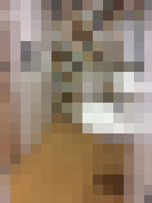  / #19