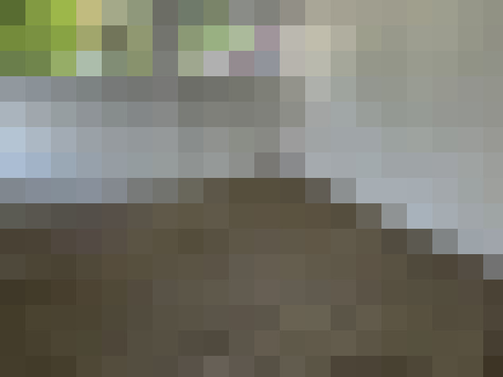  / #15