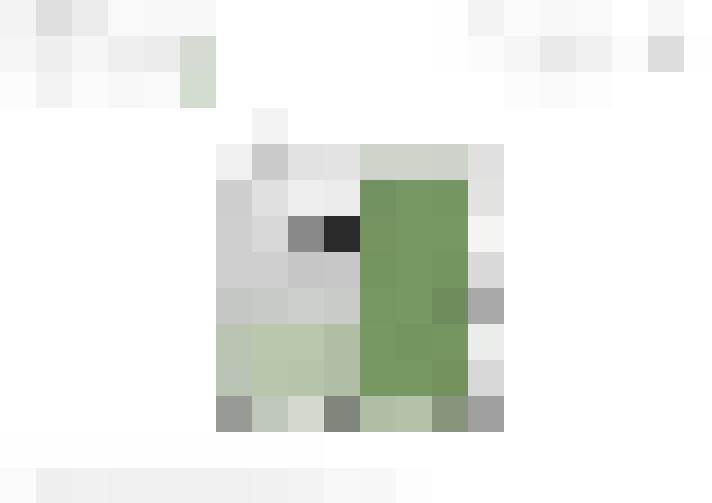  / #11