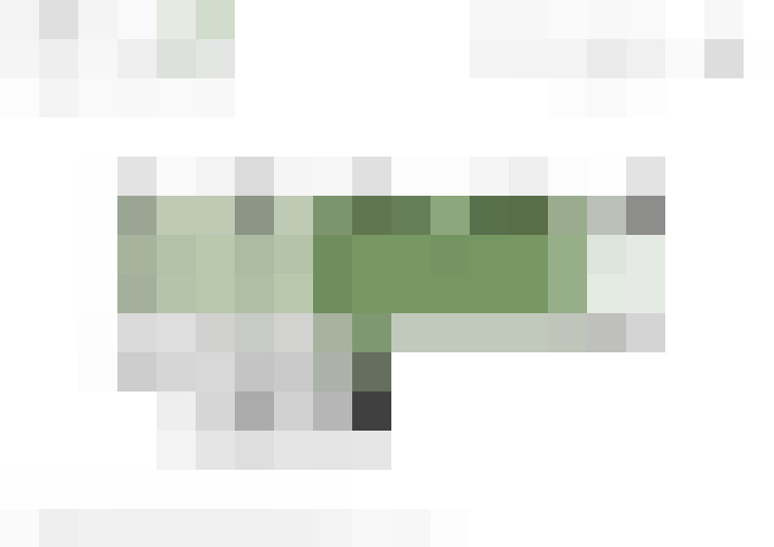  / #11