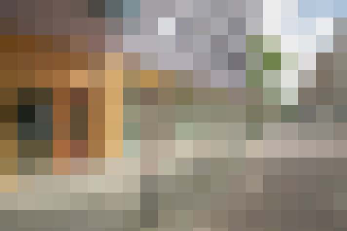  / #16