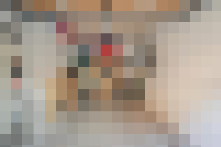  / #20