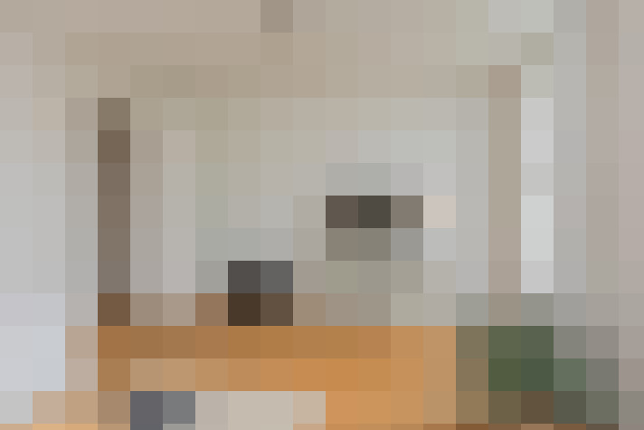  / #20