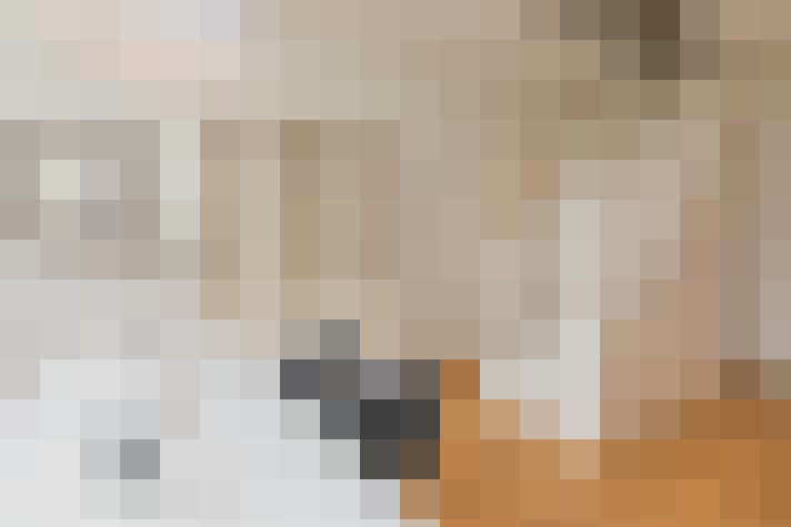  / #13