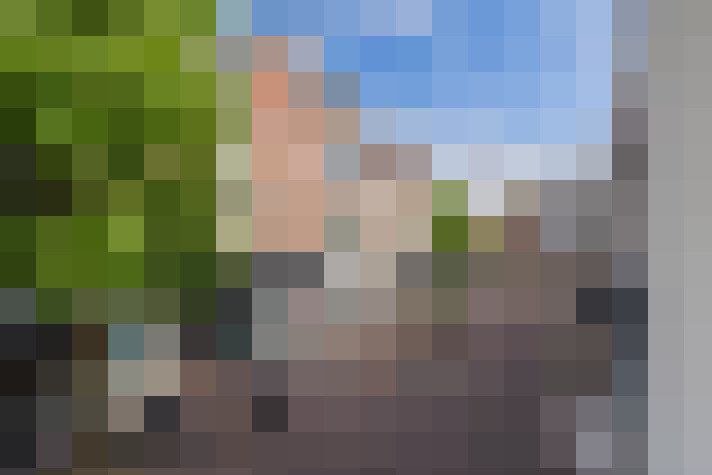  / #19