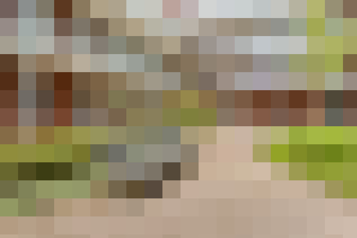  / #16