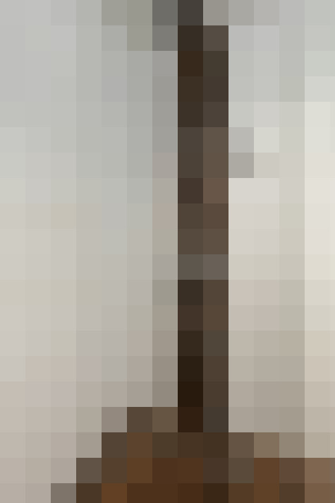  / #23