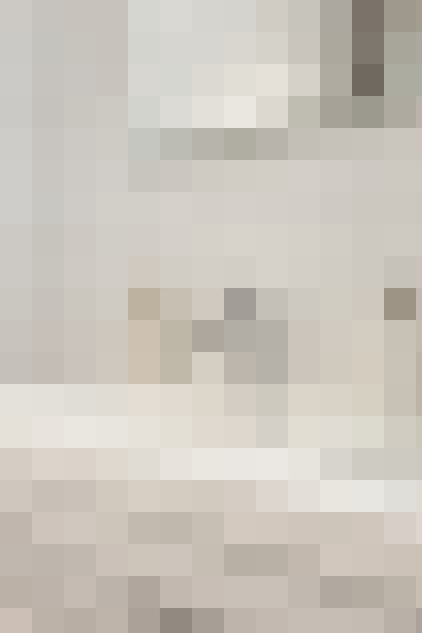  / #24