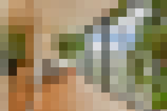  / #17