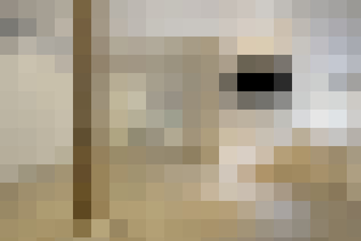  / #23