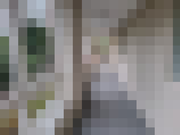  / #19