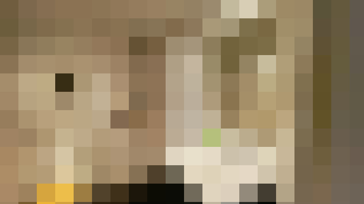  / #16