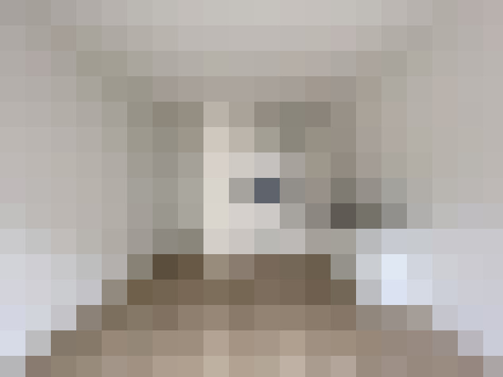  / #12