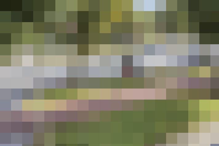  / #18