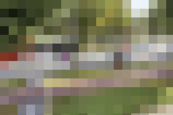  / #17