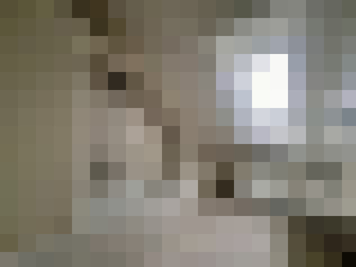  / #15