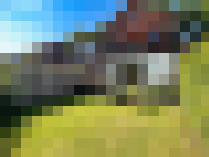  / #19
