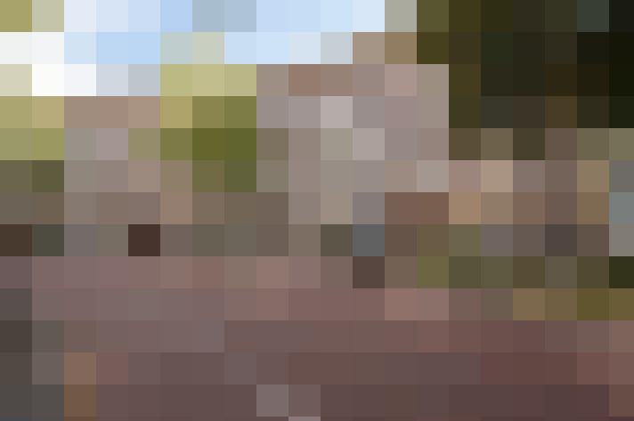  / #17