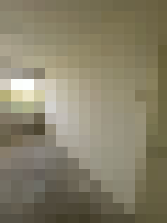  / #17