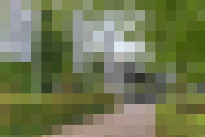  / #6