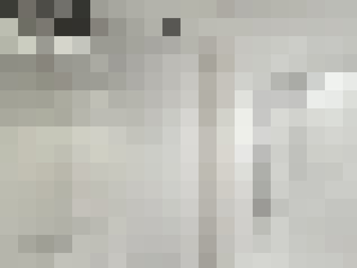  / #14