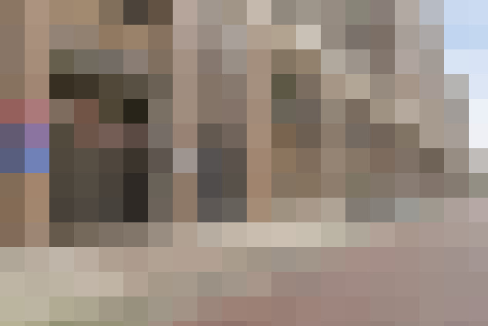 / #24