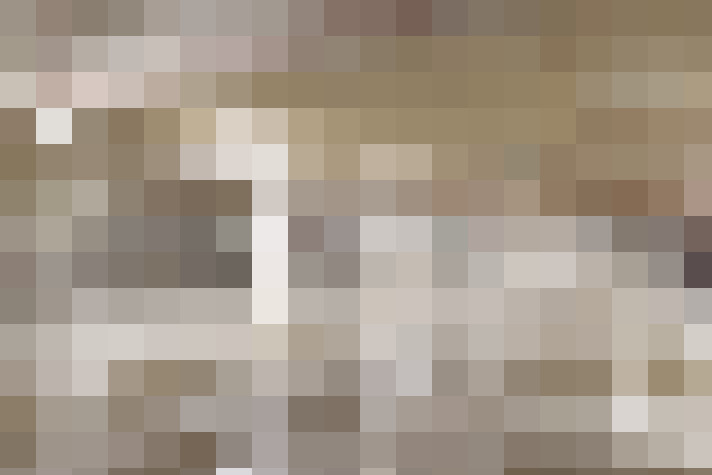  / #23