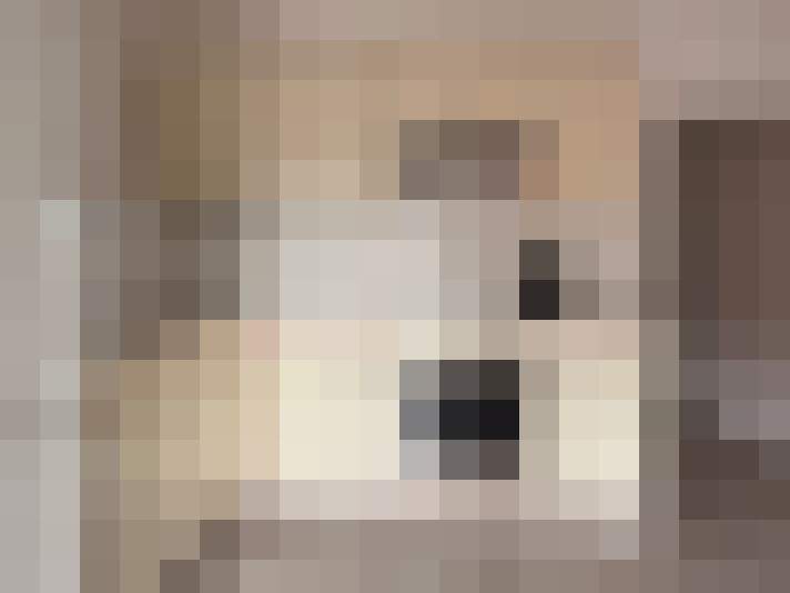  / #8