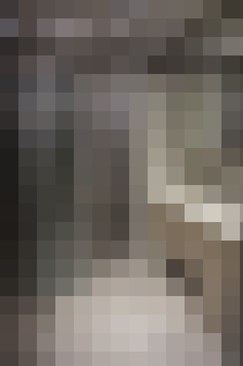  / #14