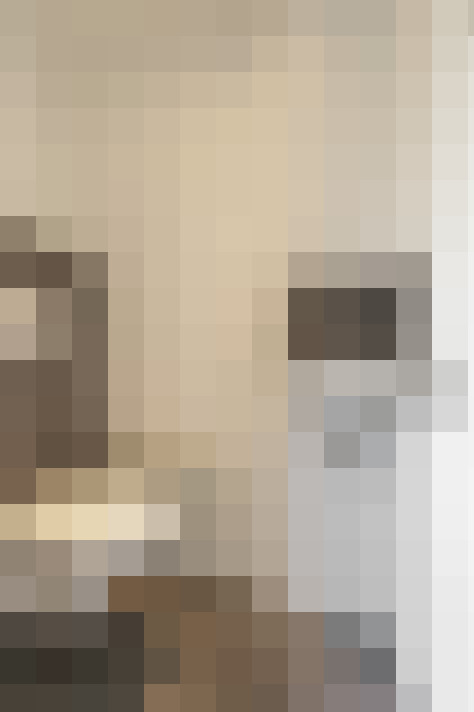  / #20
