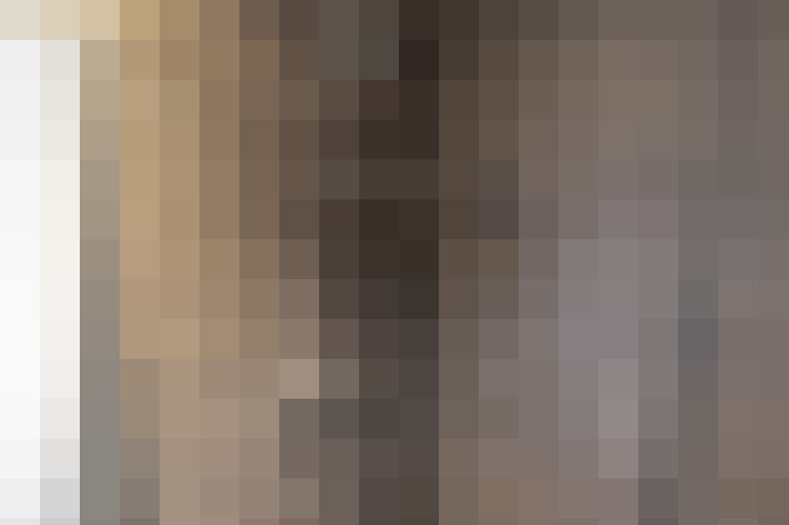  / #22