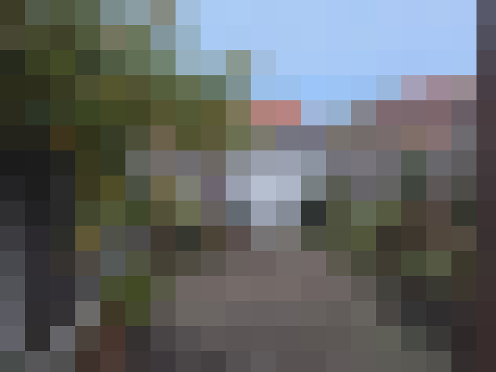  / #15