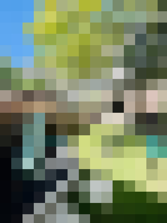 / #10