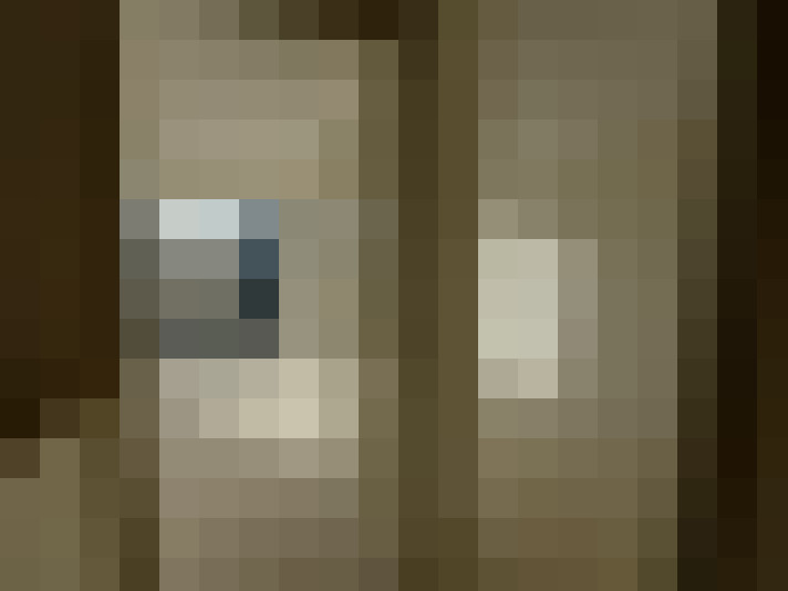  / #6