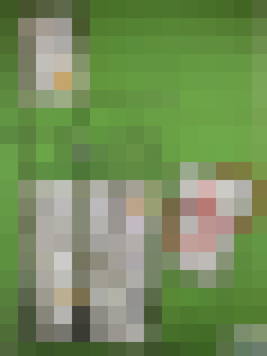  / #17
