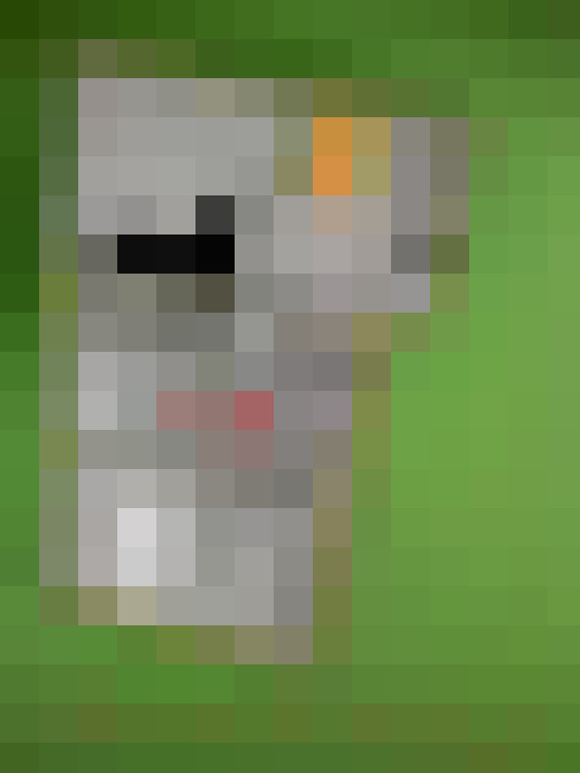  / #18