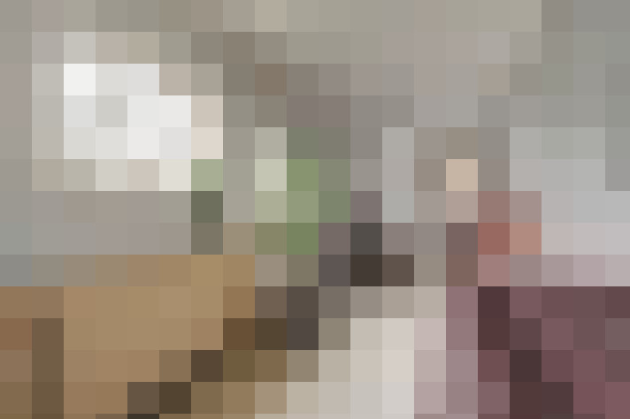  / #17