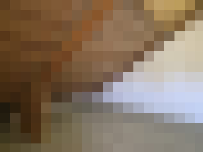  / #20