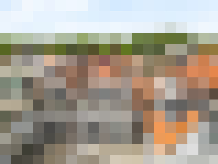 / #18