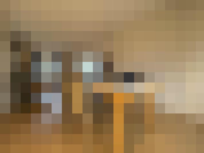  / #15
