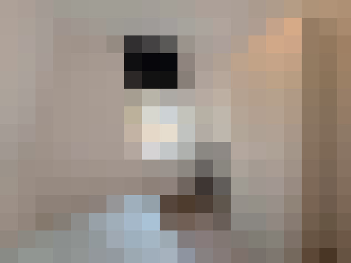 / #23