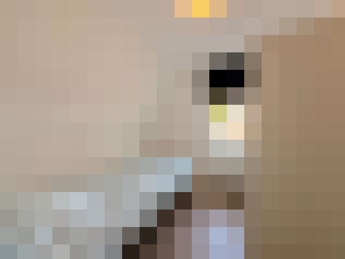  / #22