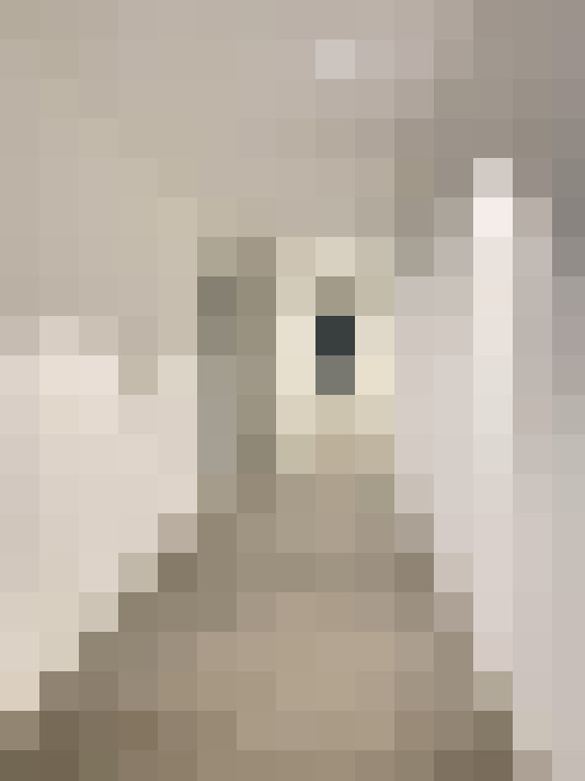  / #14