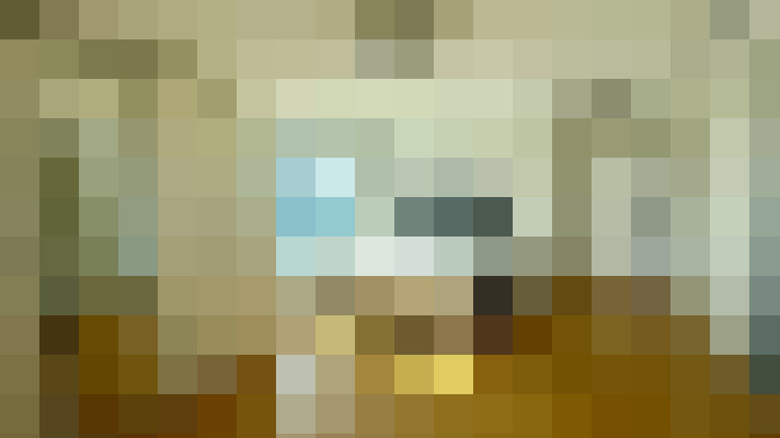  / #19