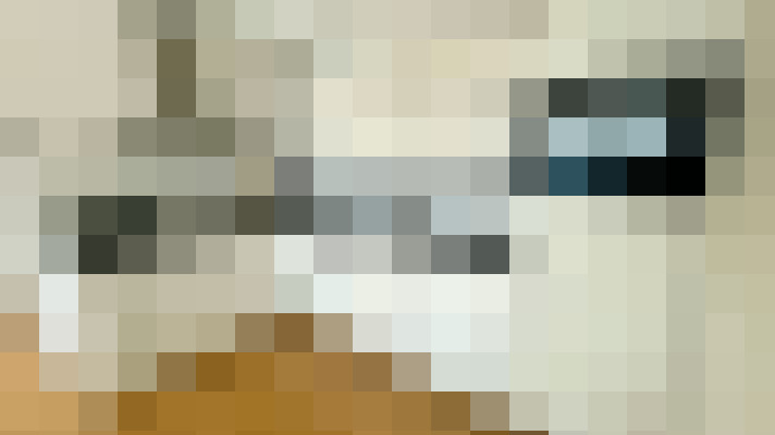  / #13