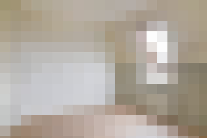  / #15