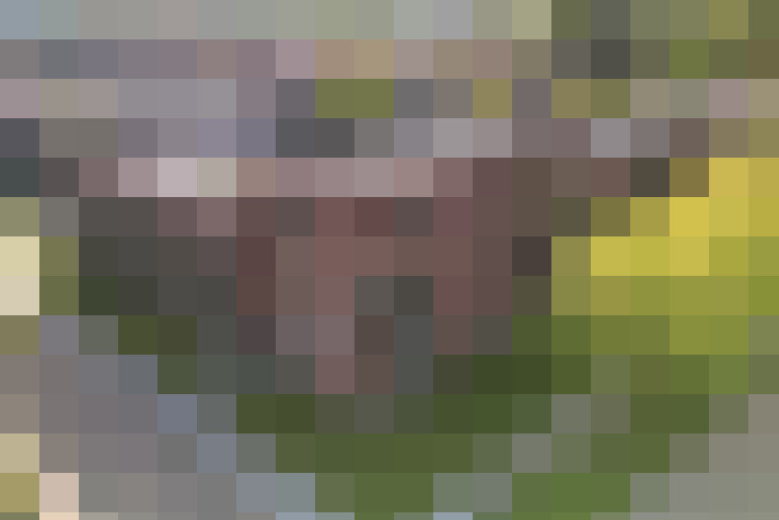  / #18