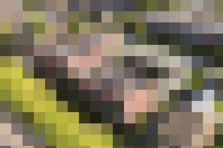  / #20