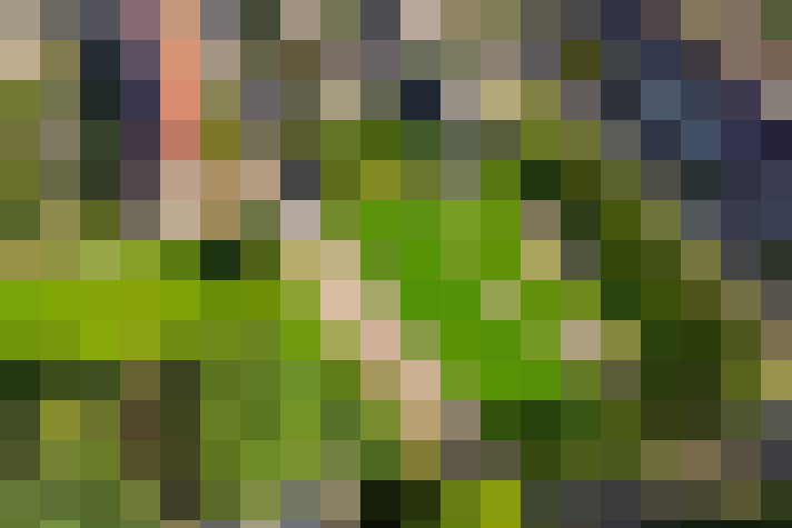  / #19