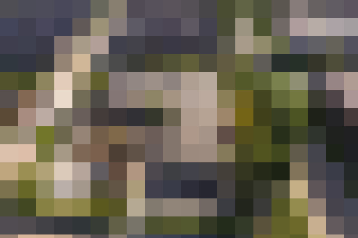  / #24